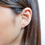 CEHA*01_00 Halo Studs Earrings