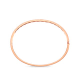 CGCS127_00 Classics Diamond Oval Bangle