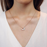 FCLC403 L-Garden Fashion Necklace