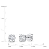 FEBQ104_00 Diamond Bouquets Studs Earrings