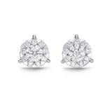 FEBQ125_00 Diamond Bouquets Studs Earrings