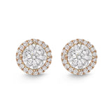 FEBQ140_00 Diamond Bouquets Studs Earrings