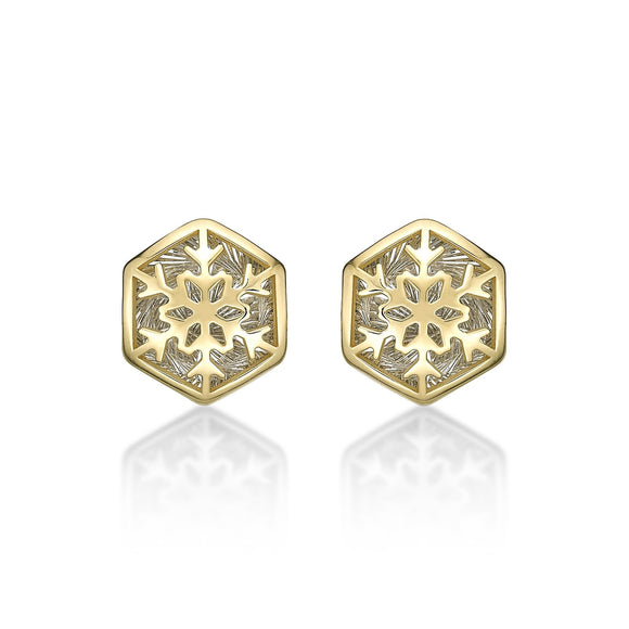 FECN110_00 Celebration Studs Earrings