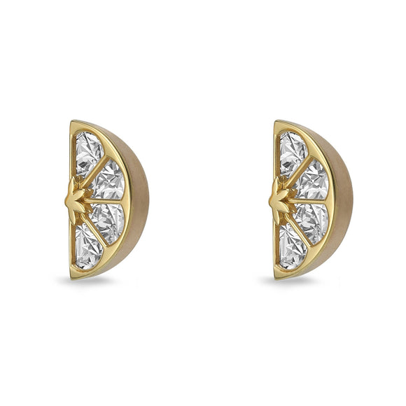 FECN148_00 Celebration Studs Earrings