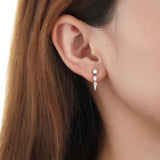 FEVD111_00 Crescent Dangling Earrings