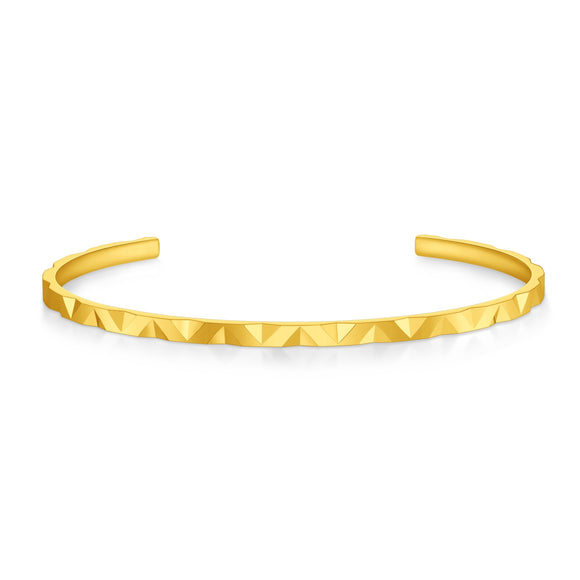FGNA601_00 Non Collection 1st Series Oval Bangle