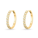 FHVD105_Sunshine Soothing Yellow Hoops