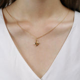FNCN110_00 Celebration Fashion Necklace