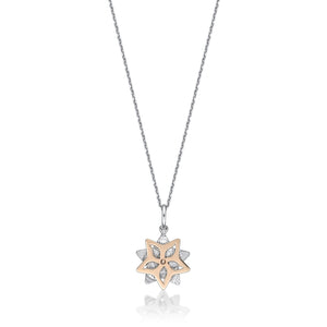 FNCN112_00 Celebration Fashion Necklace