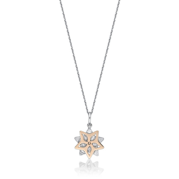 FNCN112_00 Celebration Fashion Necklace