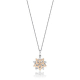 FNCN112_00 Celebration Fashion Necklace
