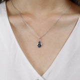FNCN113_00 Celebration Fashion Necklace