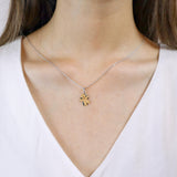 FNCN114_00 Celebration Fashion Necklace