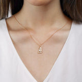 FNCN165_00 Celebration Fashion Necklace