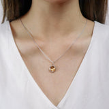 FNCN166_00 Celebration Fashion Necklace