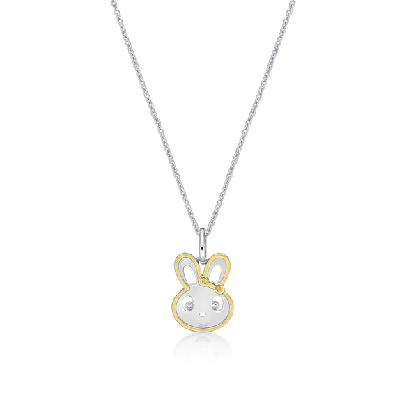 FNCN168_00 Celebration Fashion Necklace