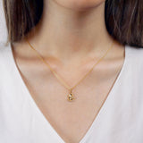 FNCN172_00 Celebration Fashion Necklace