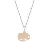 FNCN176_00 Celebration Fashion Necklace