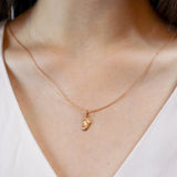 FNCN180_00 Celebration Fashion Necklace
