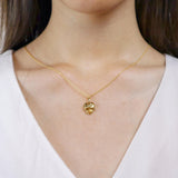 FNCN181_00 Celebration Fashion Necklace