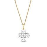 FNCN193_00 Celebration Fashion Necklace