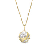 FNCN202_00 Celebration Fashion Necklace