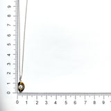 FNCN215_00 Celebration Fashion Necklace