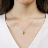 FNCN215_00 Celebration Fashion Necklace