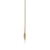 FNCN218_00 Celebration Fashion Necklace