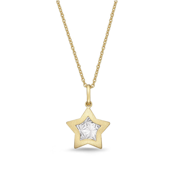FNCN223_00 Celebration Fashion Necklace