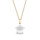FNCN223_00 Celebration Fashion Necklace