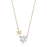 FNCN226_00 Celebration Fashion Necklace