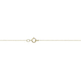 FNIG102_00 ING Diamond Lariat Necklace