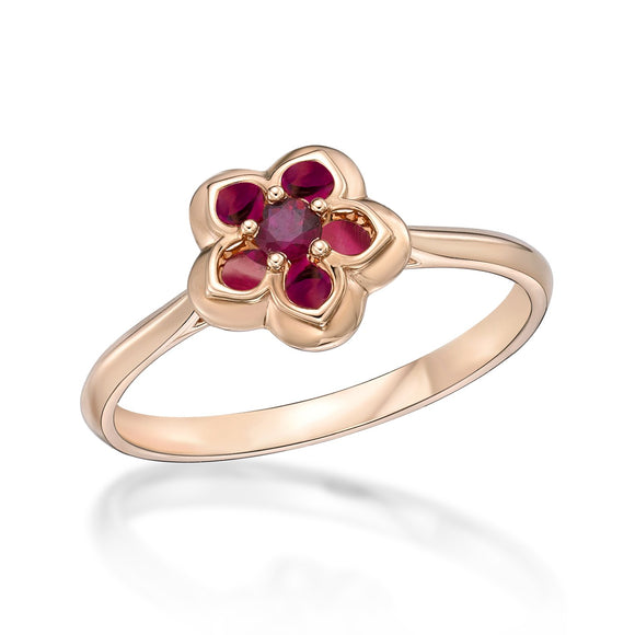 FRVL101_RU Valley of Light Ruby Illusion-setting Ring