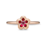 FRVL106_RU Valley of Light Ruby Illusion-setting Ring