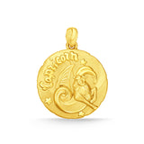GPCN260_00 Zodiac 17mm  Capricorn Pendant