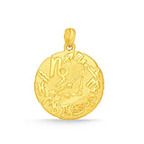 GPCN260_00 Zodiac 17mm  Capricorn Pendant