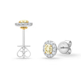 SEHA*25_00 Halo Diamond Studs Earrings
