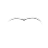ZGLC111_00 L Collection Oval Bangle